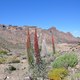 Parque Nacional del Teide 5