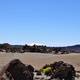 Parque Nacional del Teide 7