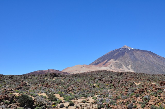 Parque Nacional del Teide 9