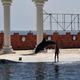 Delfinarium 3