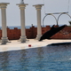 Delfinarium 4