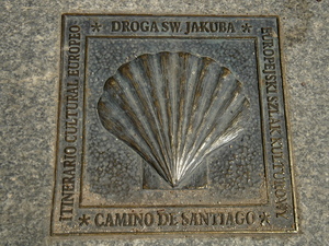 Toruń (1)