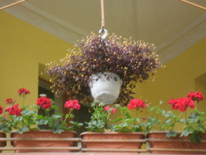 Toruń (1)