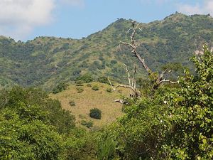 krajobraz Komodo