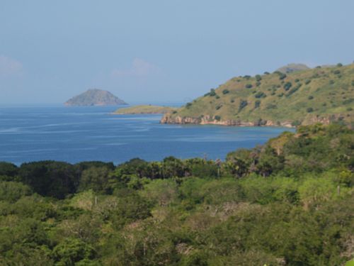 krajbraz wyspy Komodo