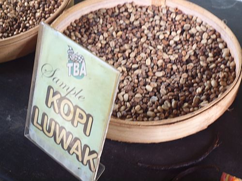 kawa luwak