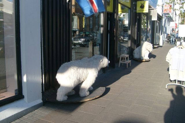 Niedźwiedzie na ulicach