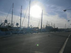 Port Yasmine