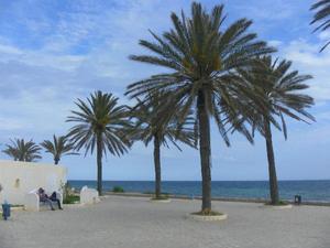 Hammamet