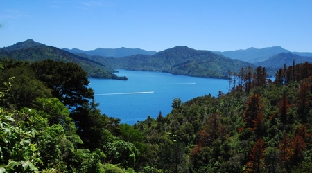 MARLBOROUGH SOUNDS