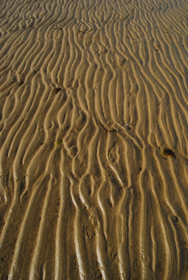 Plaża w Marahau.