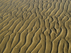 Plaża w Marahau.