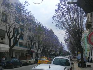 Tunis - Avenue De Paris