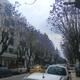 Tunis - Avenue De Paris