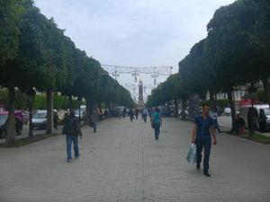 Tunis - Avenue De France