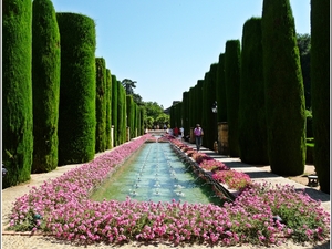 Alcázar de los Reyes Cristianos. Ogrody