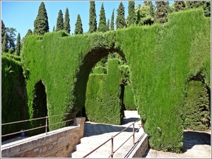 Generalife