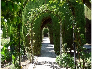 Generalife