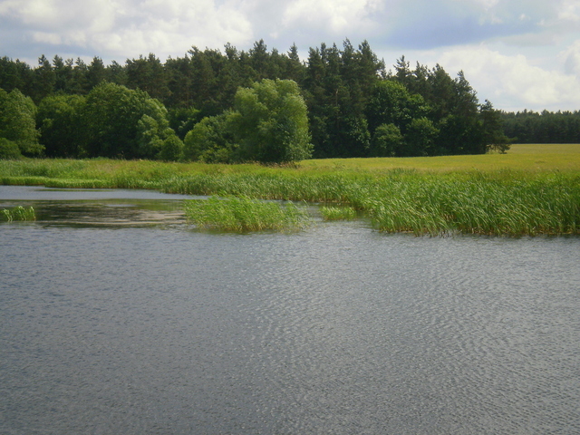 Lato - okolice Lubawy