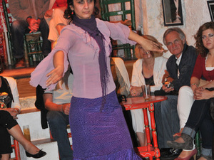 Flamenco  17 