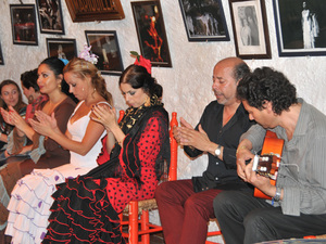 Flamenco  5 