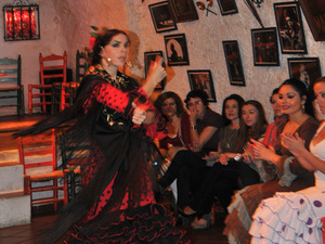 Flamenco  7 