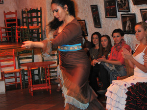 Flamenco  8 