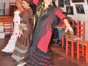 Flamenco  9 