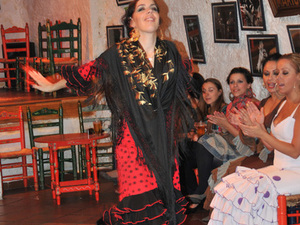 Flamenco  10 