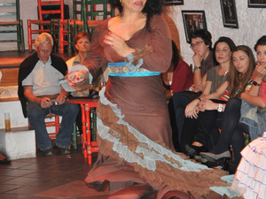 Flamenco  13 