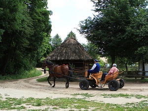 Bryczka