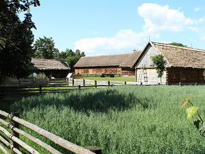 W skansenie