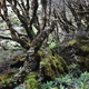 ROUTEBURN TRACK