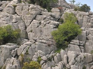 El torcal  91 