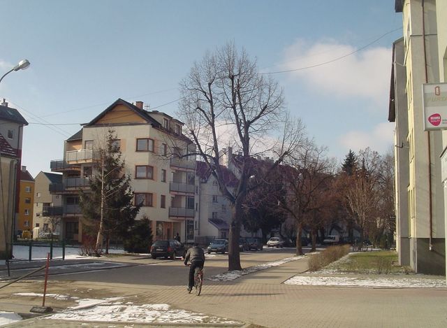 widok