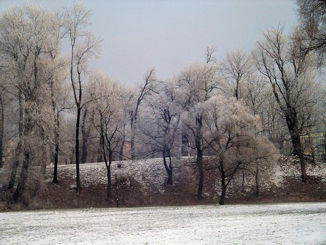 Zima 2010