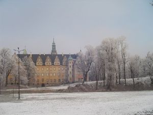 Zamek w zimowej szacie 2010