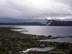 Płaskowyż Hardangervidda