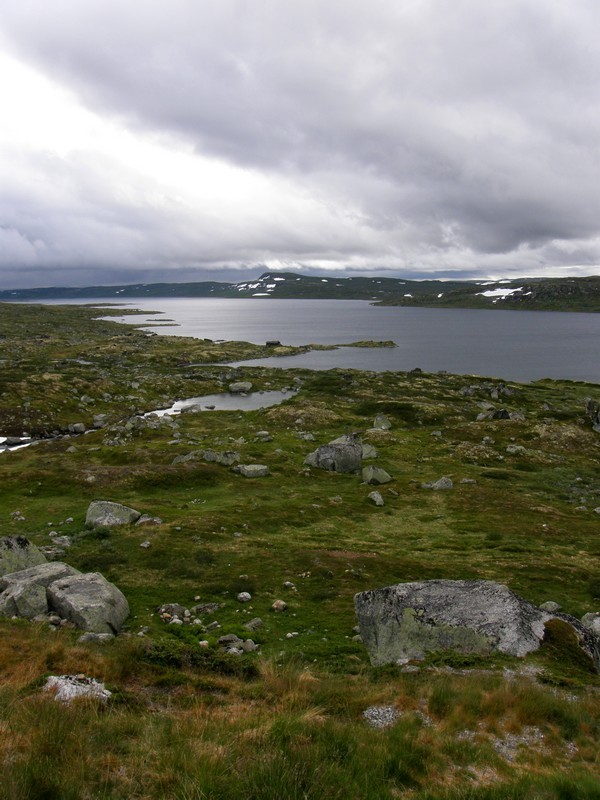 Płaskowyż Hardangervidda