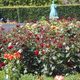 Rosenborg - ogród różany