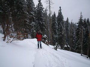 w drodze na Baranią Górę