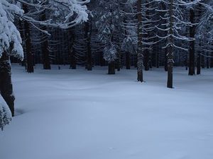 Idziemy sobie....czarnym do Wisły