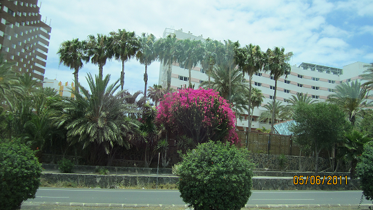 Gran Canaria