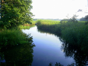 Lato - Dąbrówno