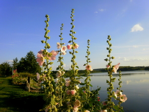 Lato - Dąbrówno