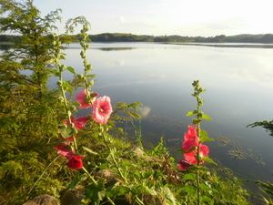 Lato - Dąbrówno