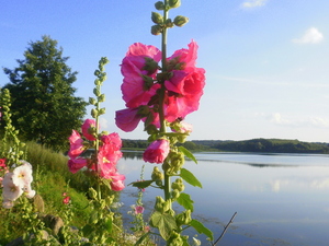 Lato - Dąbrówno