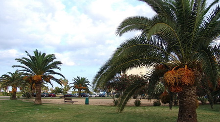 Cala Millor