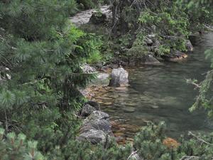 09morskie oko4