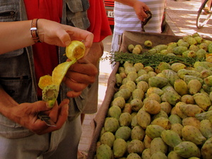 opuncje na suku - taroudant